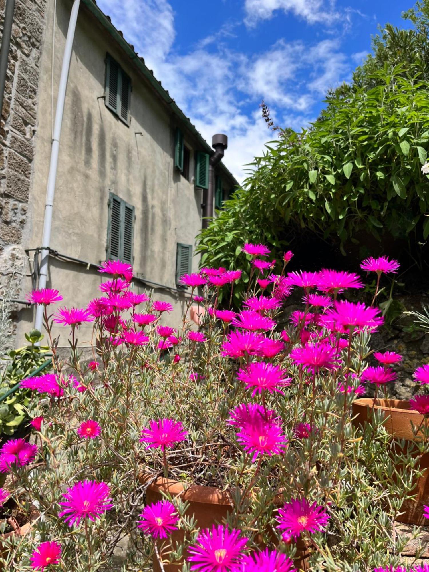 Apartamento Casina Orione Montecatini Val di Cecina Exterior foto